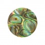 Dot-Inlay-Mother-of-Pearl-Paua 5mm. 20 pack