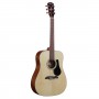 Guitarra Acústica Alvarez RD26S-AGP Starter Pack